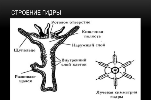 Kra38.at