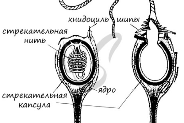 Регистрация на сайте кракен