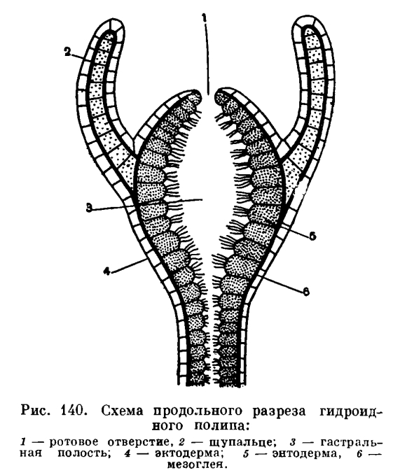 Кракен сегодня сайт зеркало