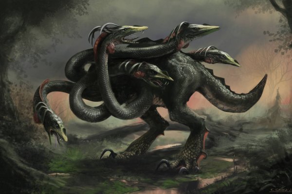 Kraken 13 at